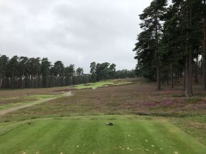 Swinley Forest 4th Tee Iphone